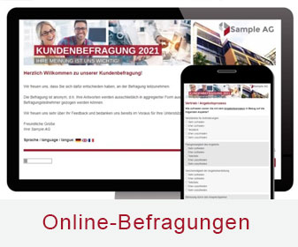 Online-Befragung