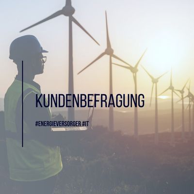 Kundenbefragung von IT-Mitarbeitenden eines Energieversorgers