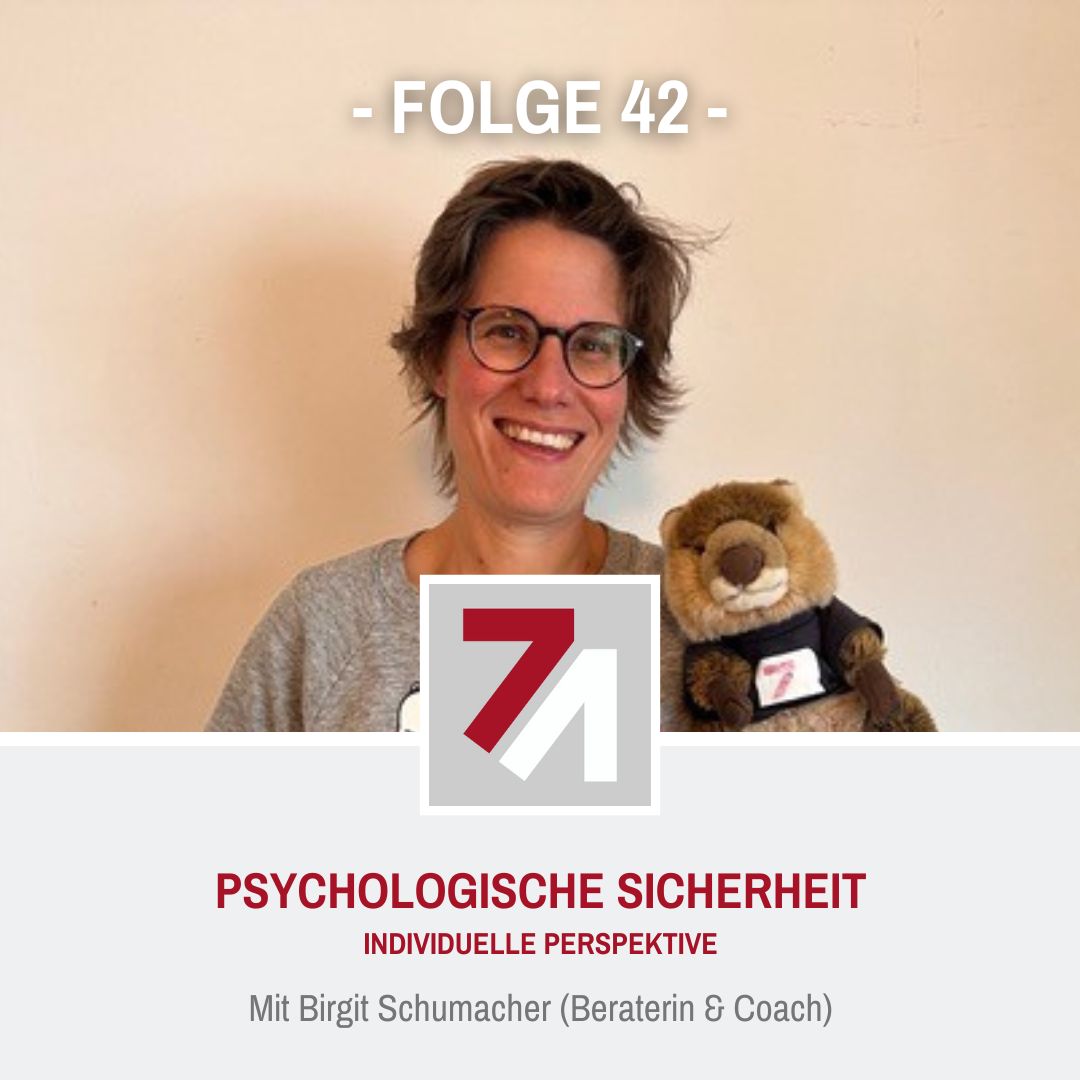  Psychologische Sicherheit – Individuelle Perspektive